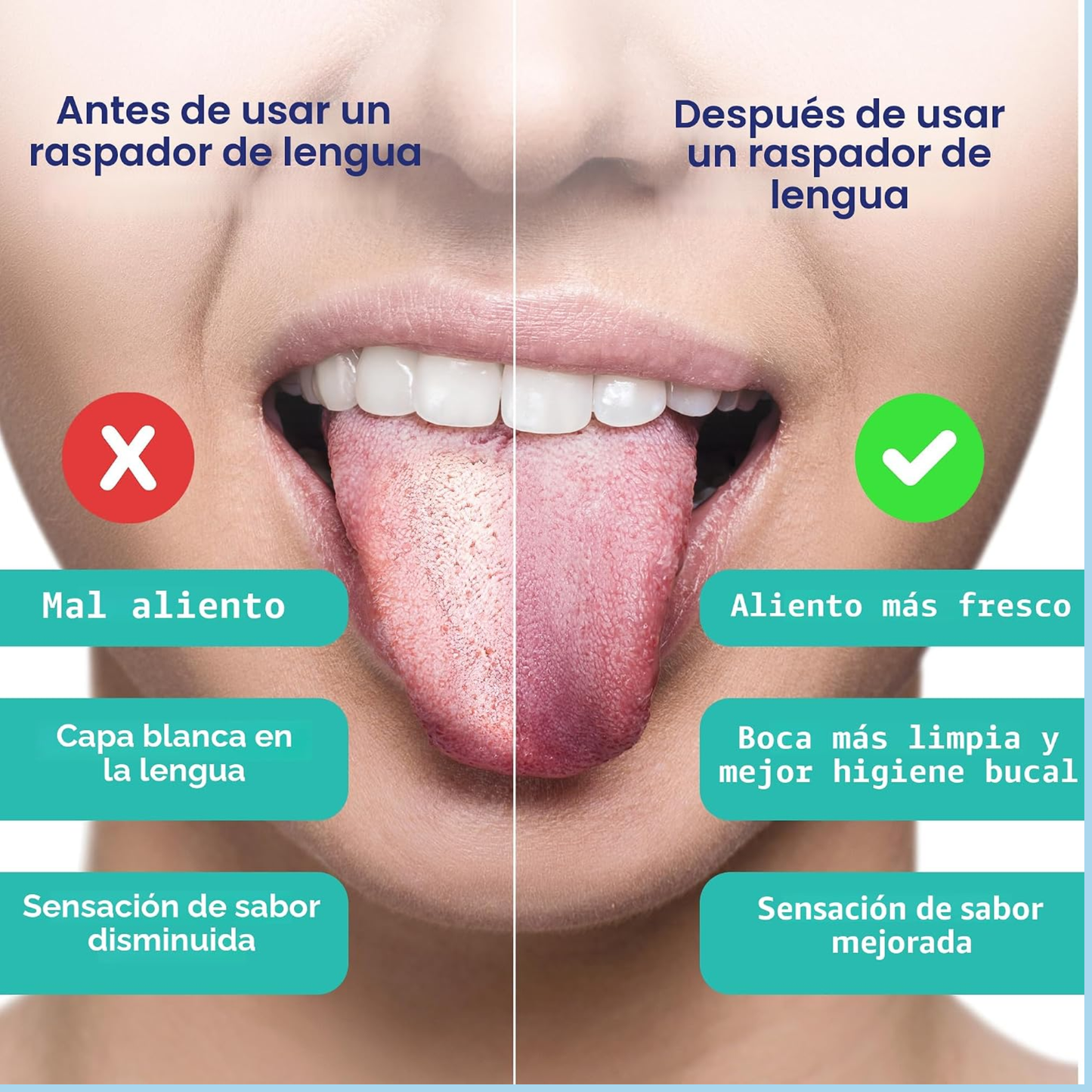 Raspador de Lengua de Acero Inoxidable